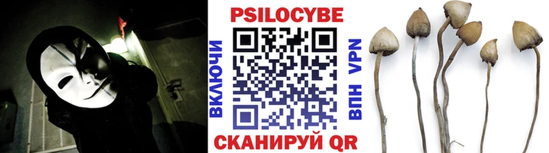 Псилоцибиновые грибы Psilocybe  Сим 